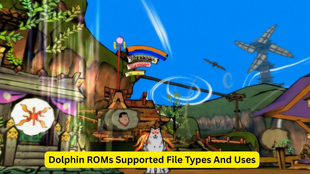 Dolphin ROMs