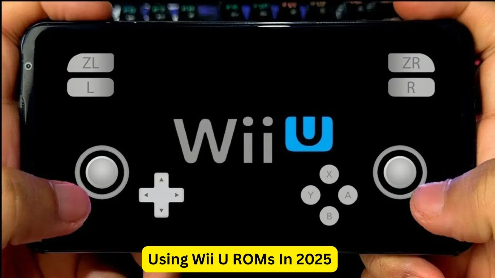 Wii U ROMs