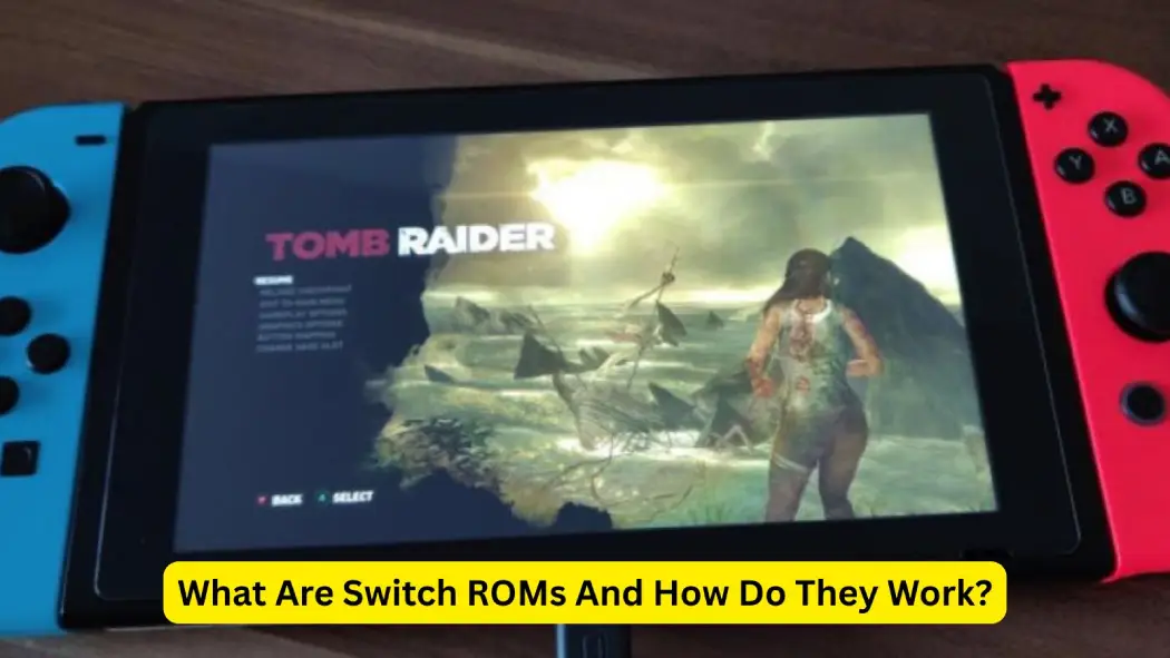 Switch ROMs